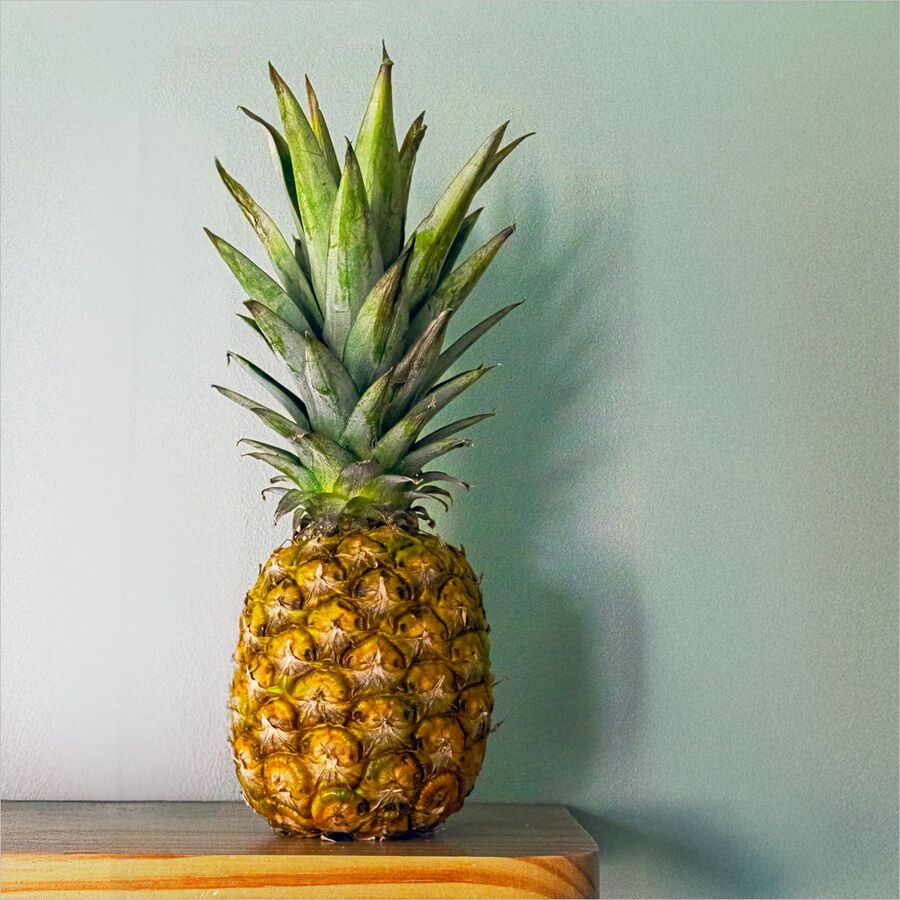 Pineapple - Bob Adams